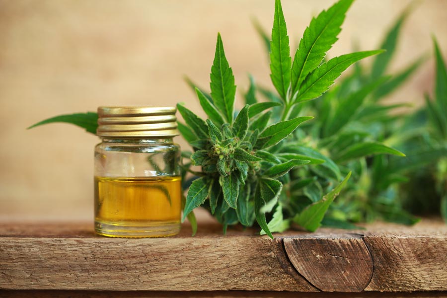 5 Cannabis Dispensary SEO Tips That Will Boost Your Website